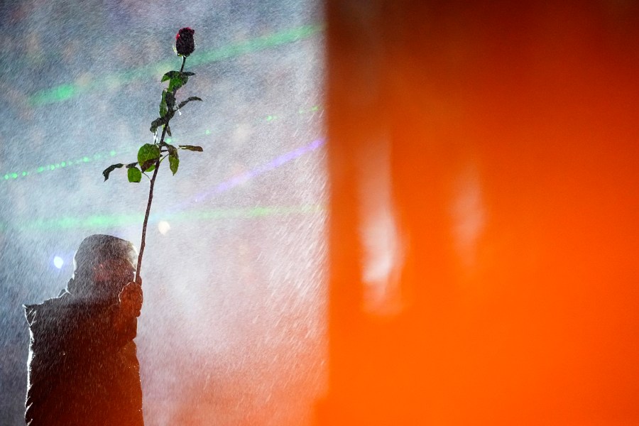 A demonstrator holds a rose while standing under running water from a fire pump used by police during a rally outside the parliament's building to protest against the government's decision to suspend negotiations on joining the European Union in Tbilisi, Georgia, on Tuesday, Dec. 3, 2024. (AP Photo/Pavel Bednyakov)