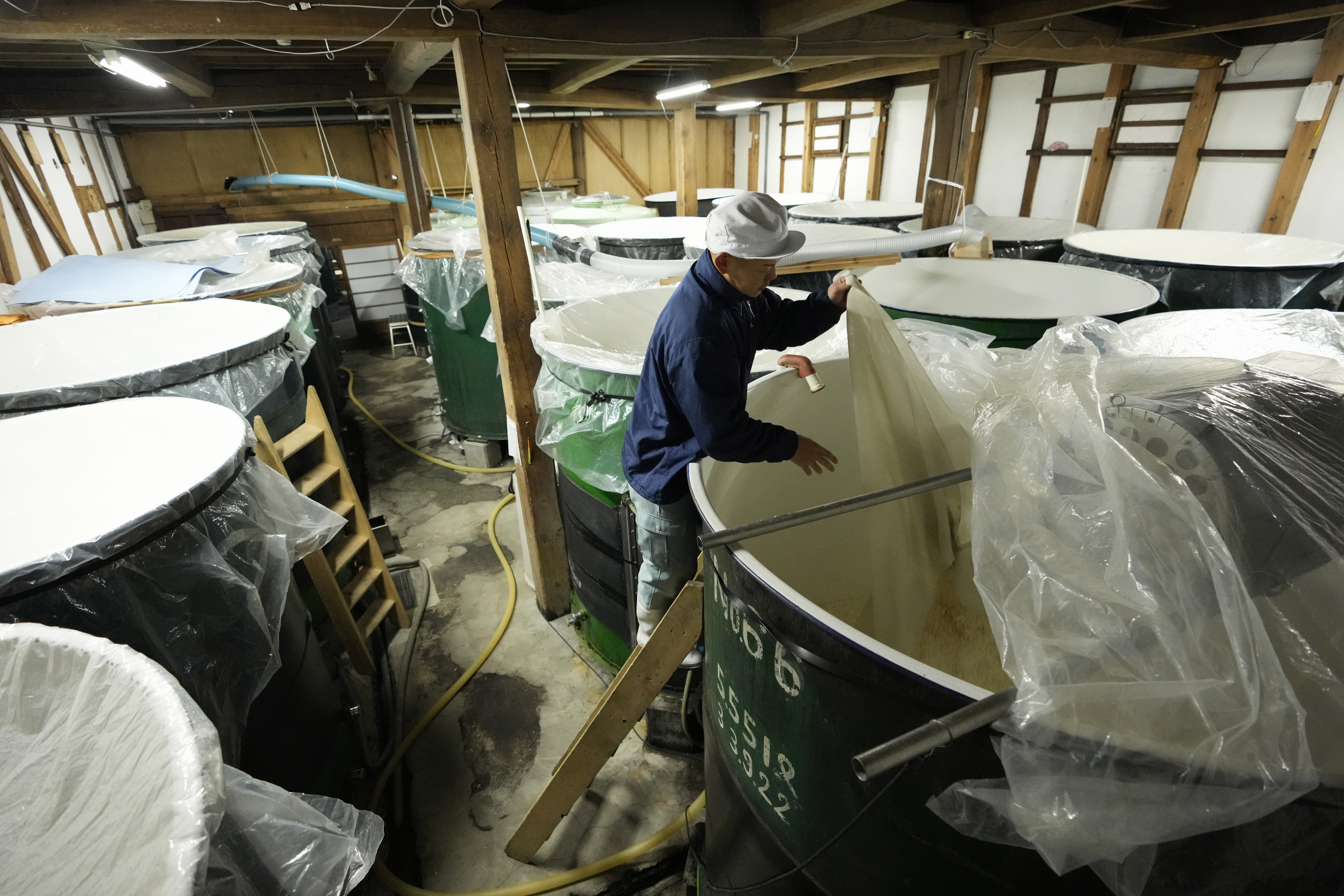 Seasonal employee Daichi Ushiyama adds rice with koji mold to other sake ingredients in a sake making process at the Koten sake brewery in Okaya, Nagano prefecture, central Japan, Saturday, Nov. 30, 2024. (AP Photo/Hiro Komae)