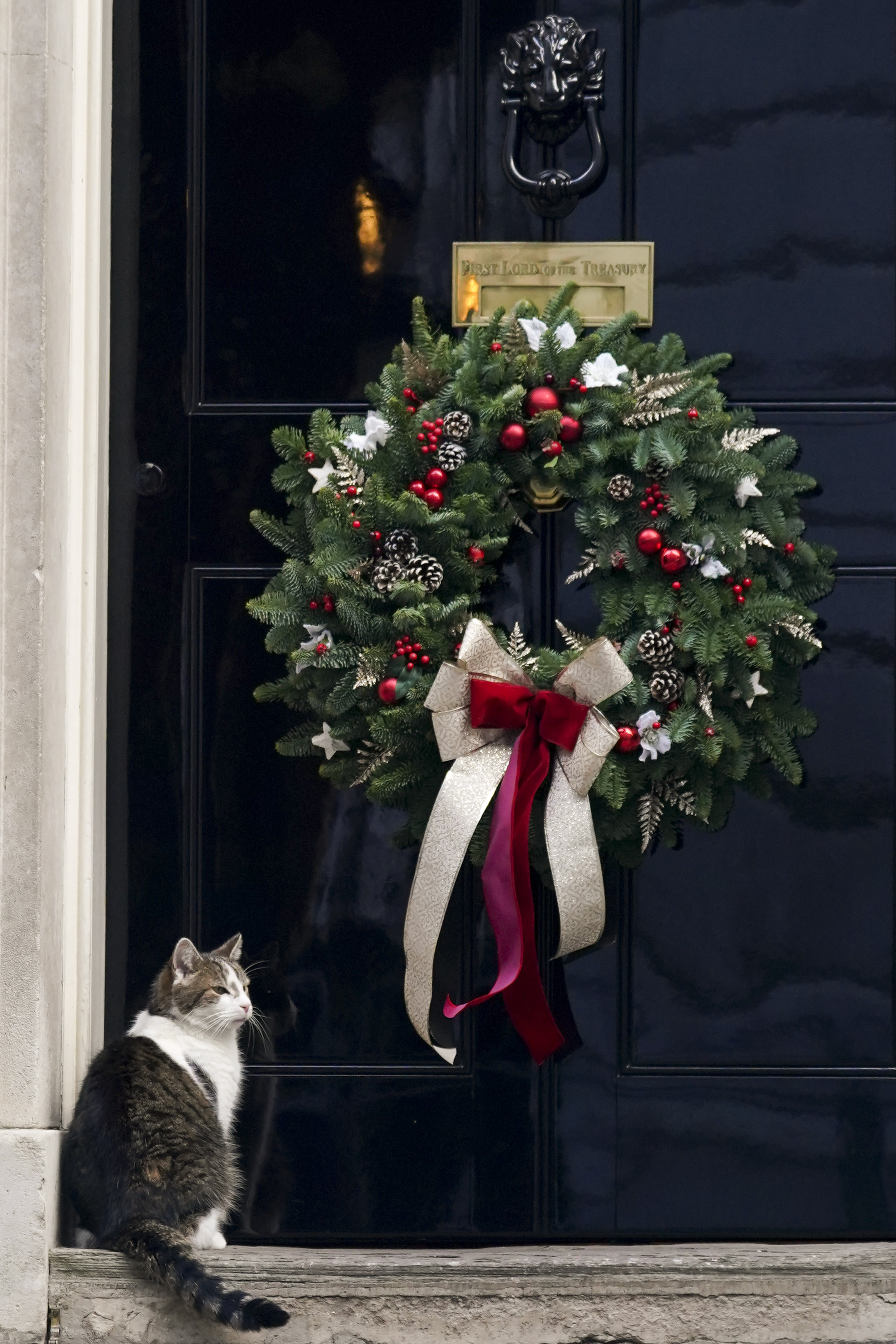 Larry, official 10 Downing Street cat, sits outside the Christmas decorated door, in London, England, Wednesday, Dec. 4, 2024.(AP Photo/Alberto Pezzali)