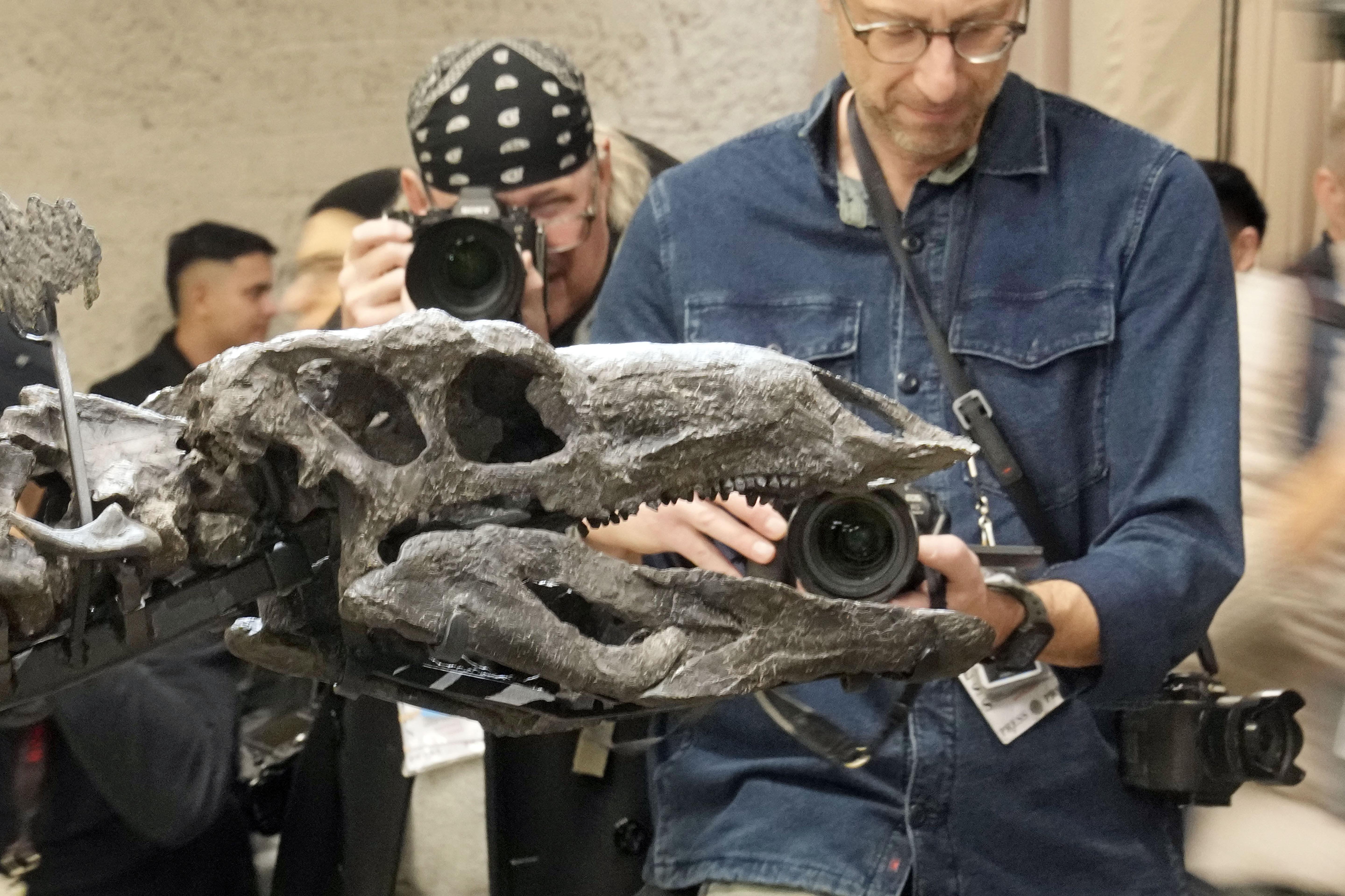 Apex, a 150-million year old Stegosaurus dinosaur fossil, that billionaire Kenneth C. Griffin bought for $44.6 million, is displayed at the American Museum of Natural History, in New York, Thursday, Dec. 5, 2024. (AP Photo/Richard Drew)