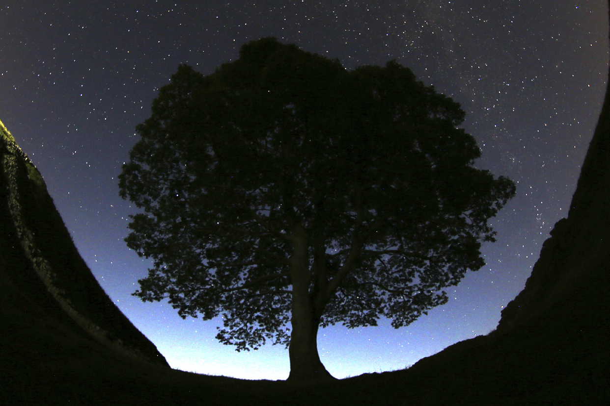 FILE - A general view of the stars above Sycamore Gap prior to the Perseid Meteor Shower above Hadrian's Wall near Bardon Mill, England, Wednesday, Aug. 12, 2015. (AP Photo/Scott Heppell, File)