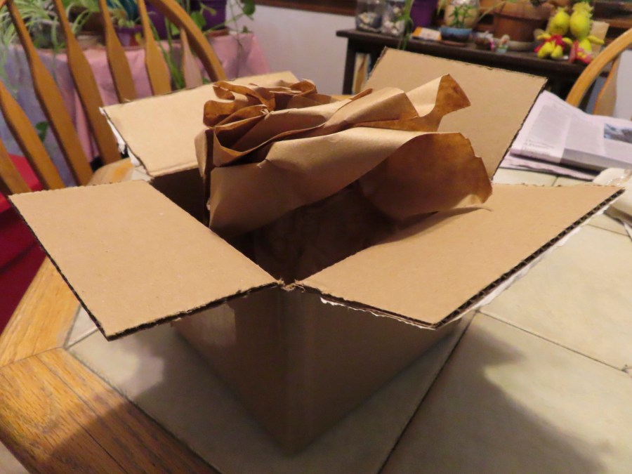 Paper packaging materials sit inside a just-opened box in Point Pleasant, N.J. on Tuesday, Dec. 10, 2024. (AP Photo/Wayne Parry)