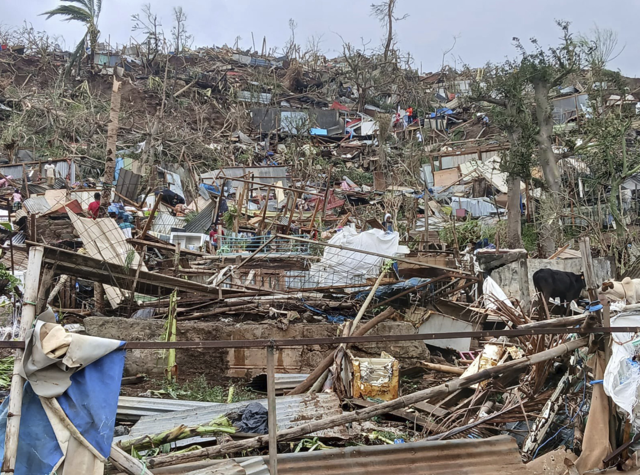 This undated photo provided by NGO Medecins du Monde on Sunday, Dec. 15, 2024, shows a devastated hill on the French territory of Mayotte in the Indian Ocean, after Cyclone Chido caused extensive damage with reports of several fatalities. (Medecins du Monde via AP)