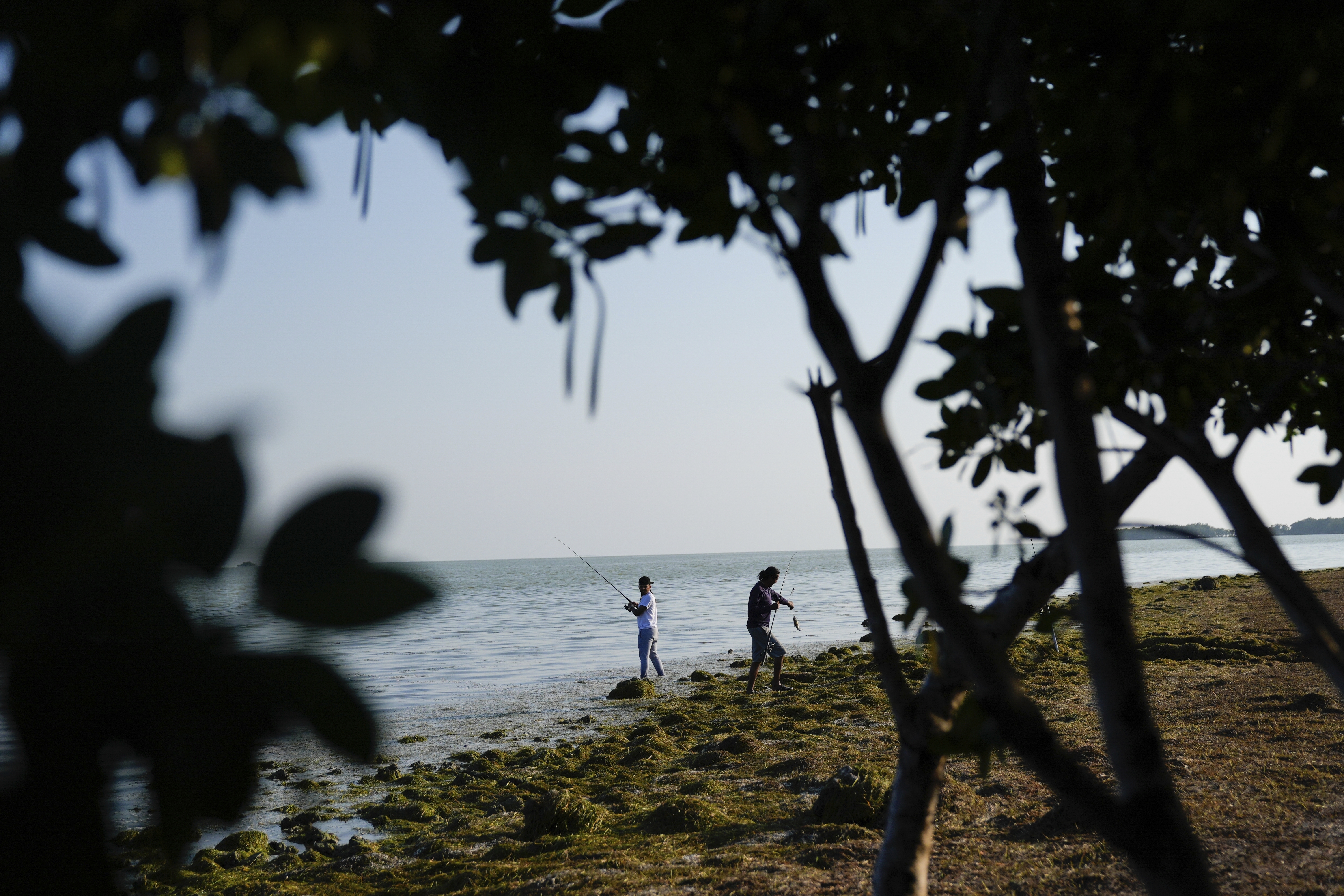 Men fish in Florida Bay from the shoreline of Florida's Everglades National Park, Saturday, May 18, 2024. (AP Photo/Rebecca Blackwell)