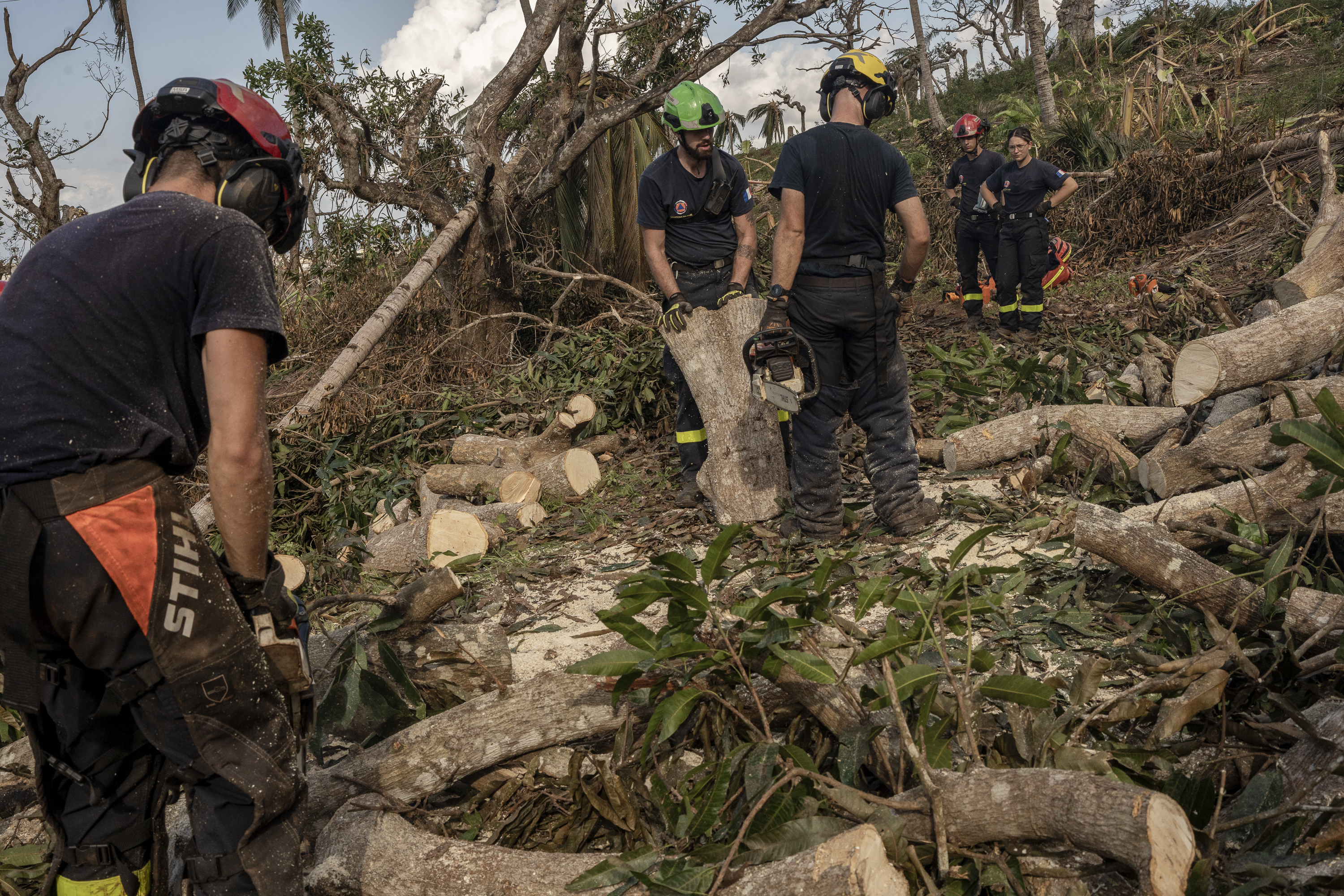 French civil security officers cut trees to open a road for heavy vehicles from Mayotte water authorities to repair water pipes in Mirereni, Mayotte, Friday, Dec. 20, 2024. (AP Photo/Adrienne Surprenant)