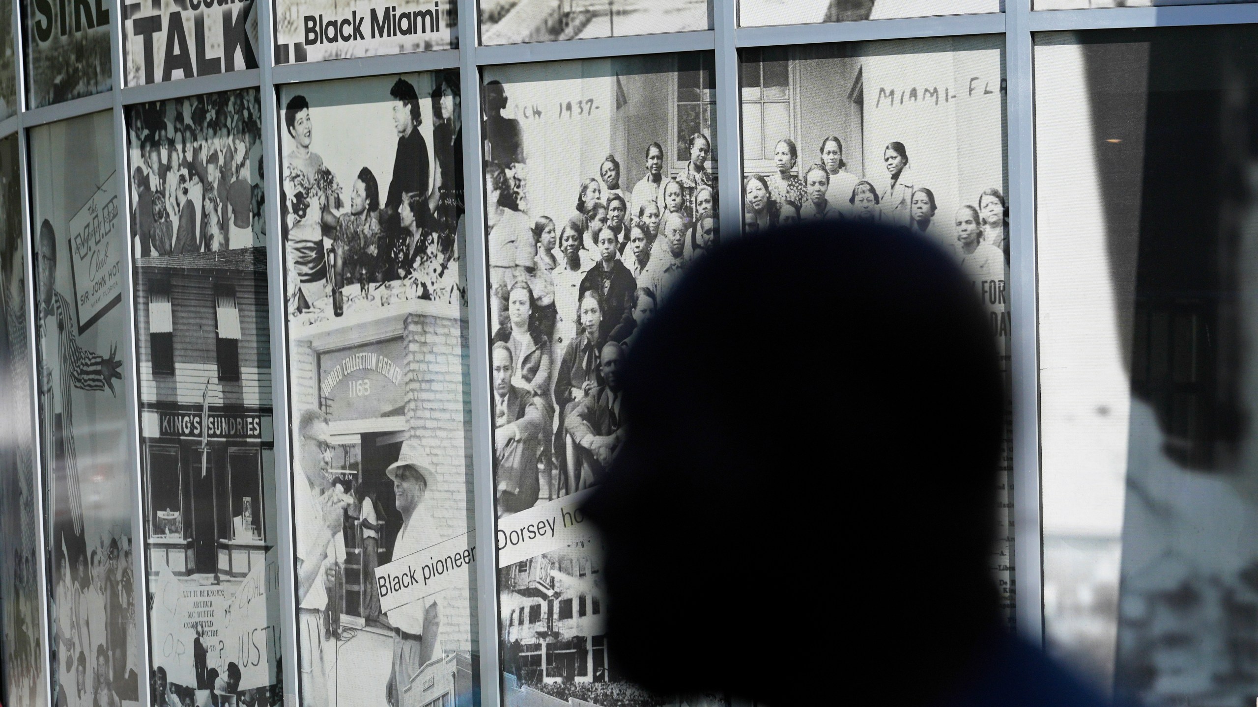 Dr. Marvin Dunn is silhouetted in front of a mural at the Lyric Theater Sunday, Feb. 25, 2024, in Miami. (AP Photo/Marta Lavandier, file)