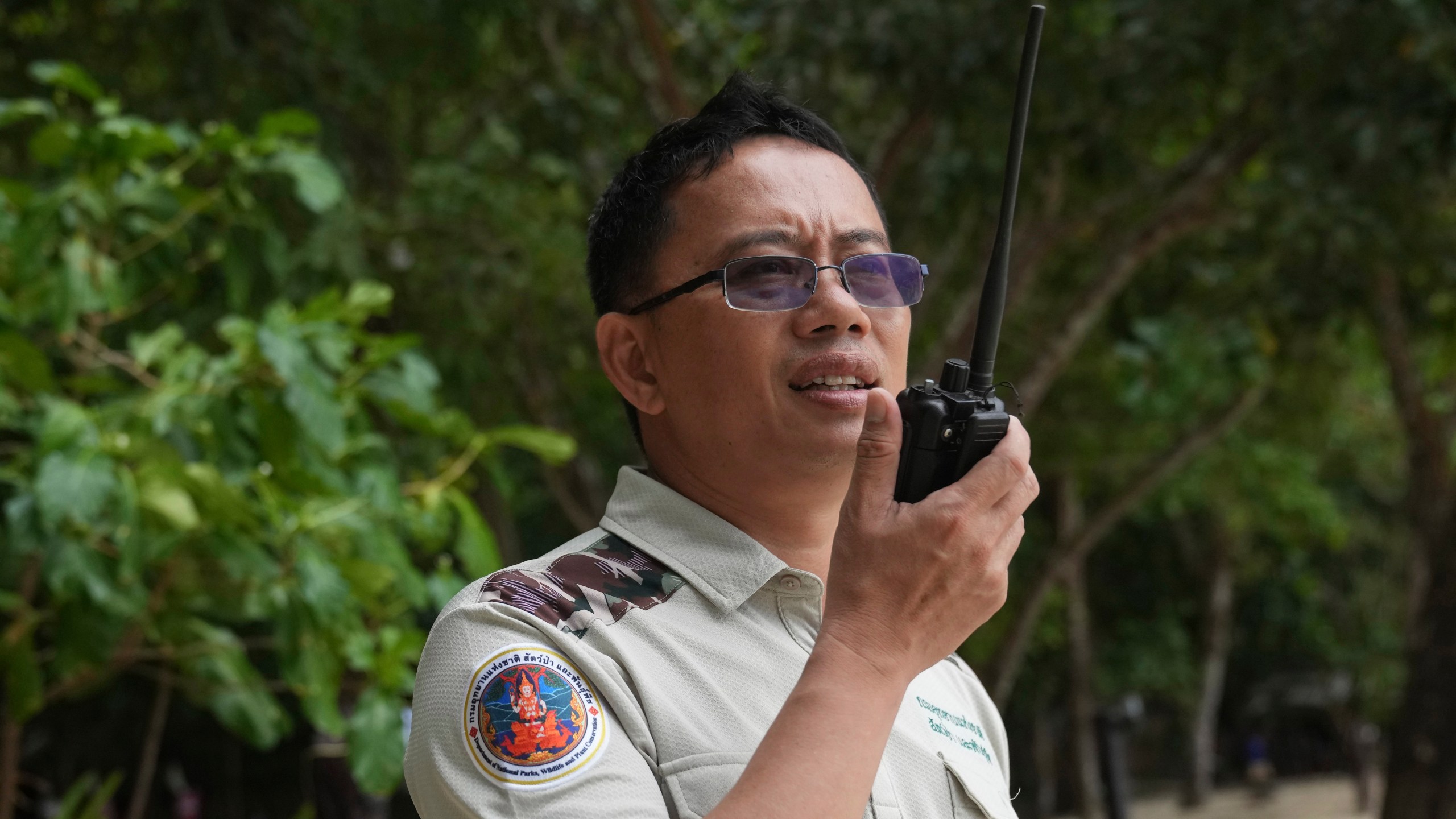 Chief of Surin national park Kriengkrai Pohcharoen speaks on walkie-talkie to his staff at Surin Islands in Phang Nga Province, Thailand, Friday, Dec. 13, 2024. (AP Photo/Sakchai Lalit)