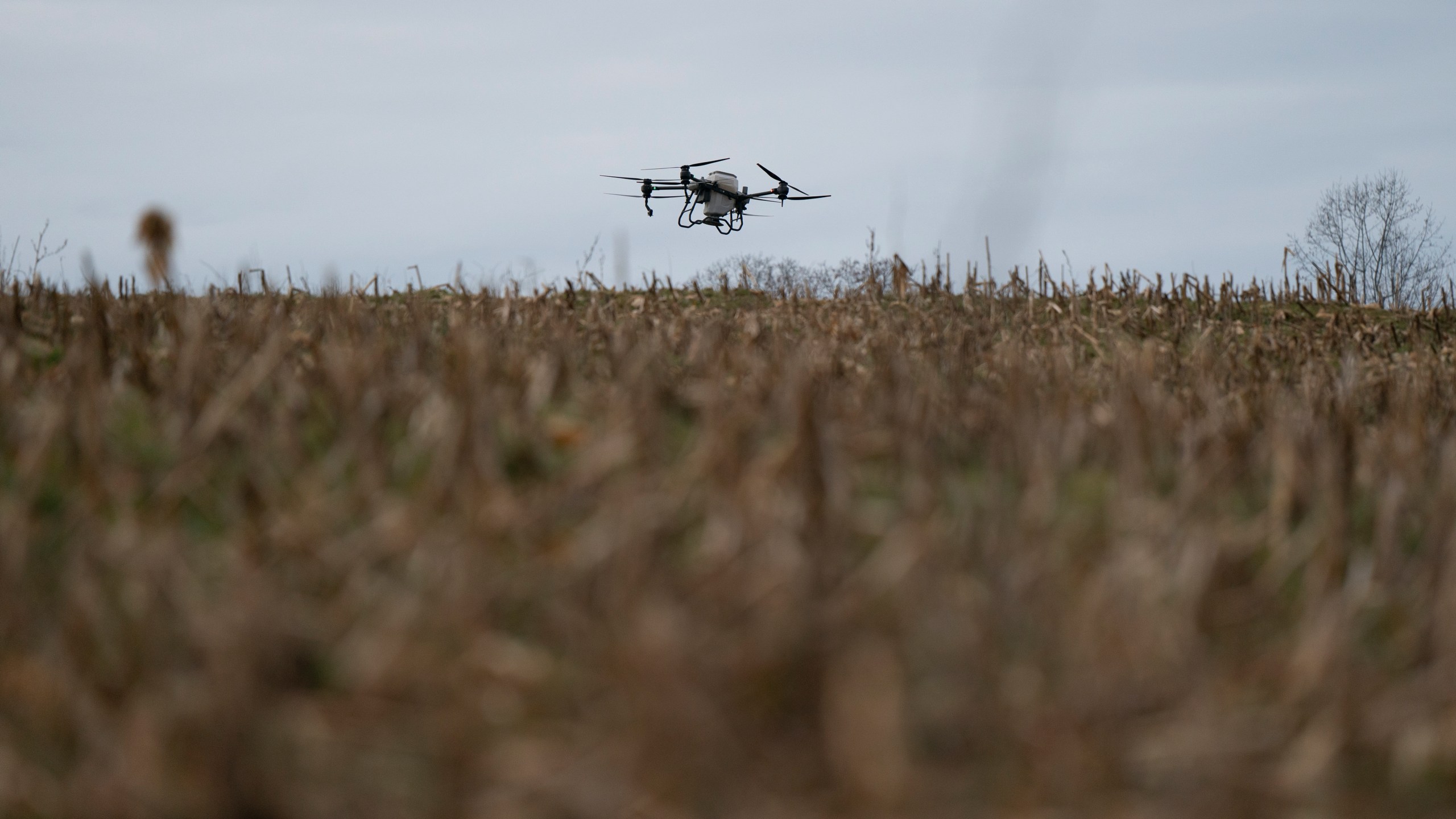 Russell Hedrick's DJI drone puts crop cover on his farm, Tuesday, Dec. 17, 2024, in Hickory, N.C. (AP Photo/Allison Joyce)