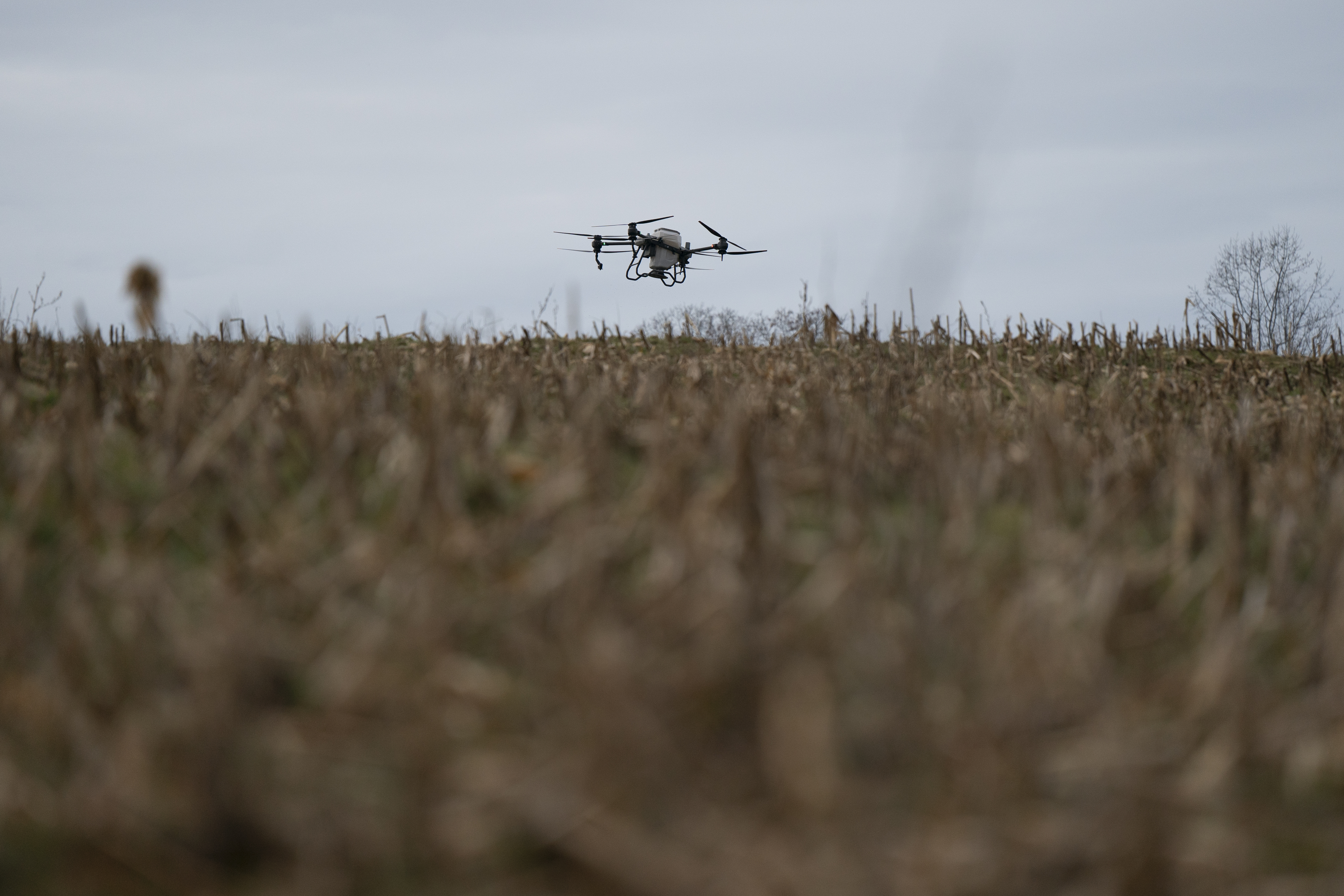 Russell Hedrick's DJI drone puts crop cover on his farm, Tuesday, Dec. 17, 2024, in Hickory, N.C. (AP Photo/Allison Joyce)