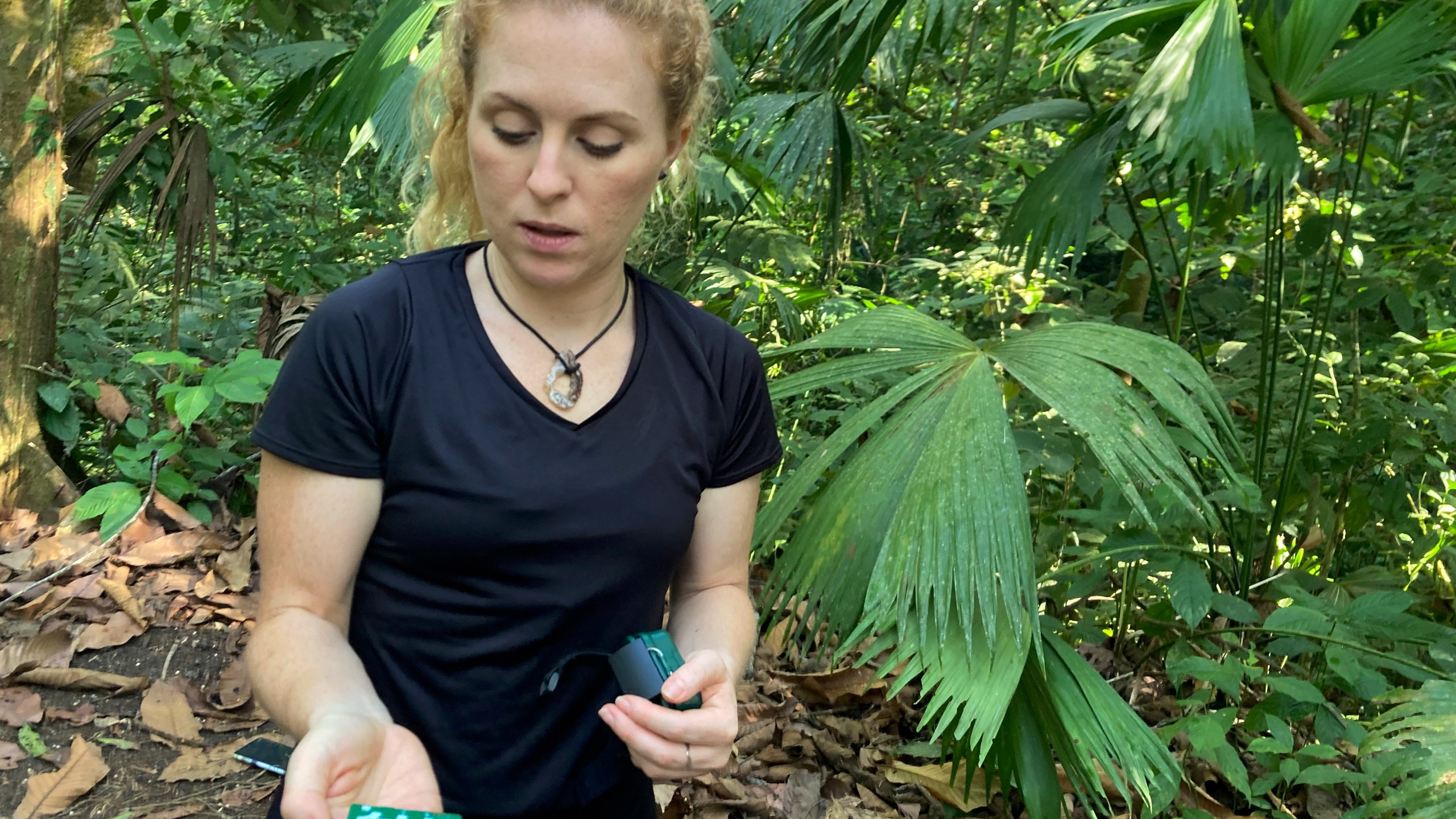 FILE - Biodiversity scientist Jenna Lawson checks one of hundreds of audio monitors she placed to track the calls of endangered Geoffrey's spider monkeys across the Osa Peninsula in Costa Rica, on Monday, March 20, 2023. (AP Photo/Matt O'Brien, File)