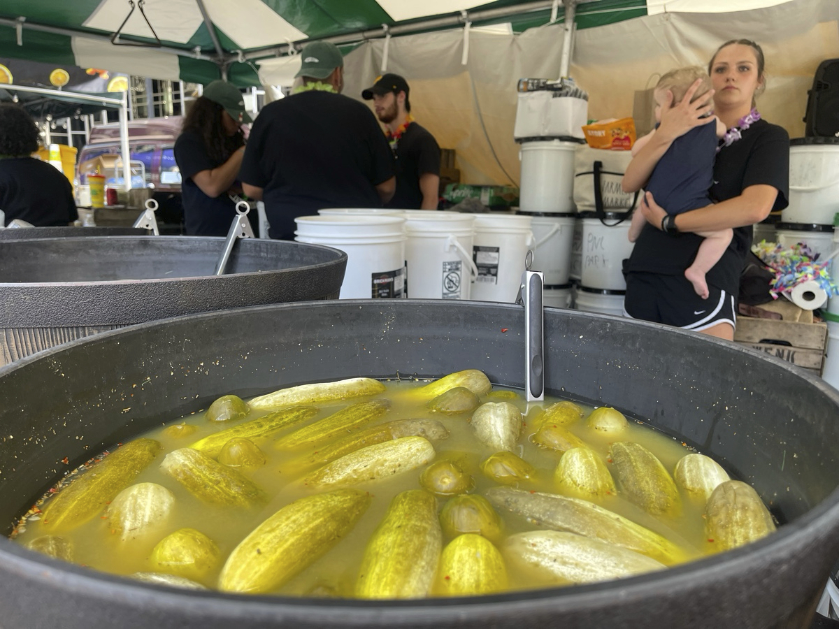 Sour pickles sit in a bucket of brine at a stall at Picklesburgh, Pittsburgh, Pa., Thursday, July 18, 2024. The festival, held just off the city's Market Square each year, brings pickle lovers and permutations of pickles together. (AP Photo/Ted Anthony)