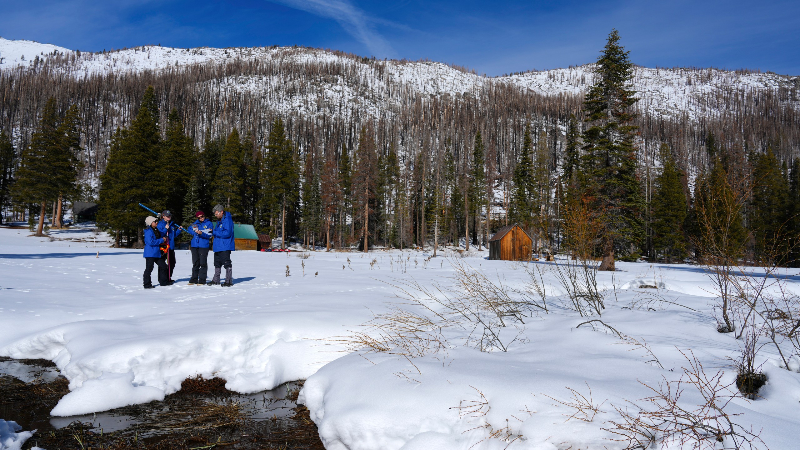 From the California Department of Water Resources, left to right, Angelique Fabbiani-Leon, Jordan Thoennes, Manon von Kaenel, and Andy Reising conduct the first snow survey of the season to assess how much water the state might have come spring and summer at Phillips Station on Thursday, Jan. 2, 2025. (AP Photo/Brooke Hess-Homeier)