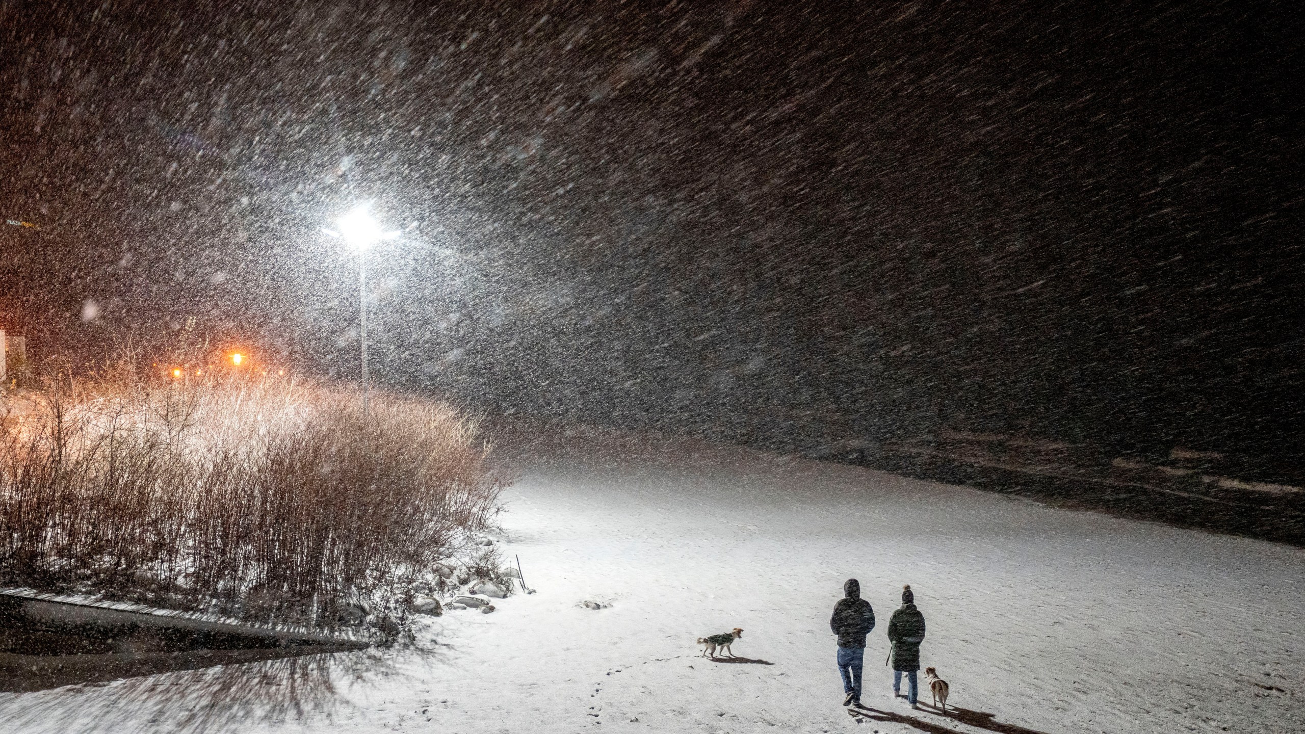 People stroll on the beach at the Baltic Sea in Timmendorfer Strand, Germany, during heavy snowfalls on Sunday, Jan. 5, 2025. (AP Photo/Michael Probst)