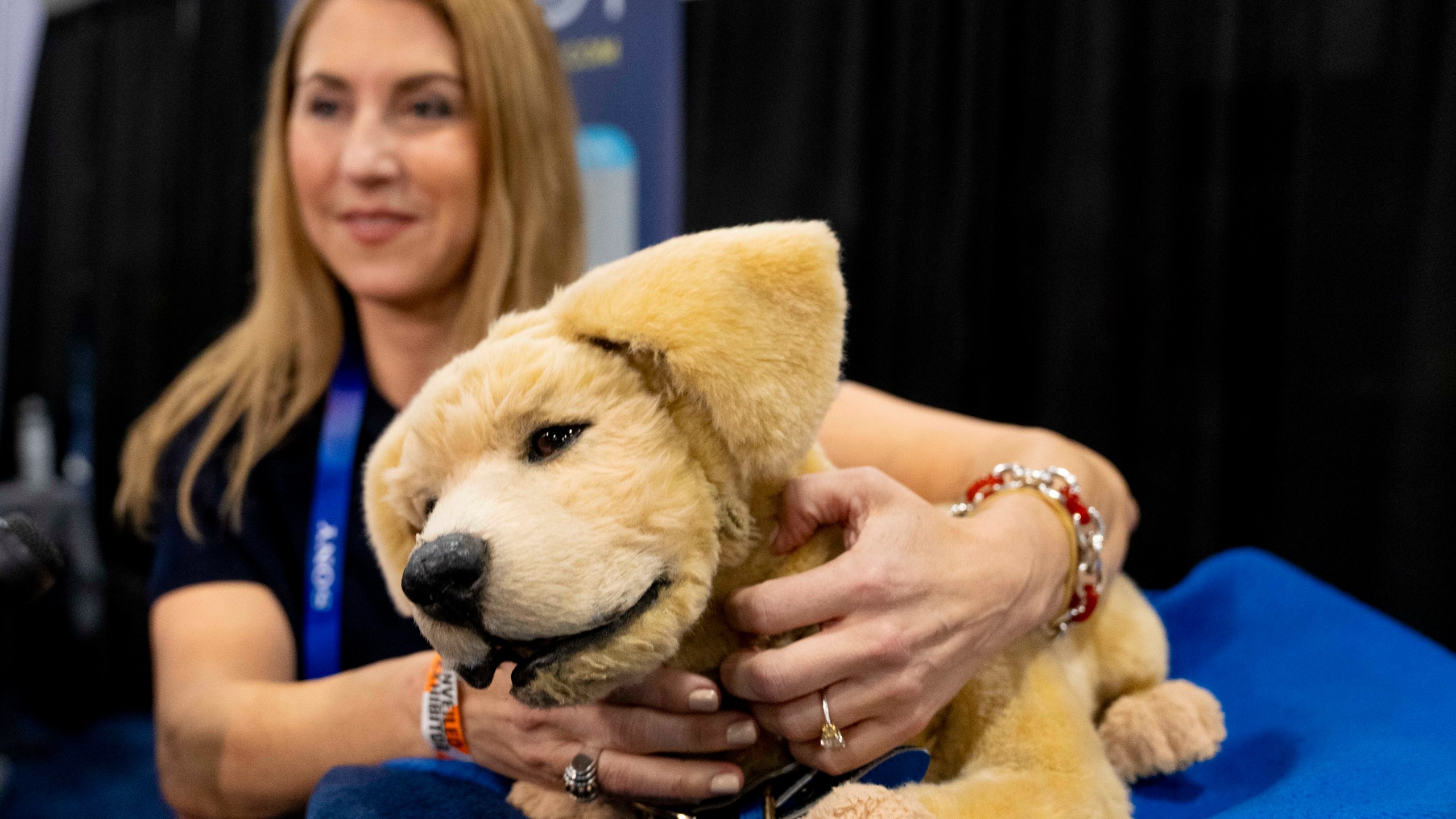 Tombot, a robotic dog for people who can not have a real pet, gets a scratch during 2025 CES Unveiled, Sunday, Jan. 5, 2025, in Las Vegas. (AP Photo/Jack Dempsey)