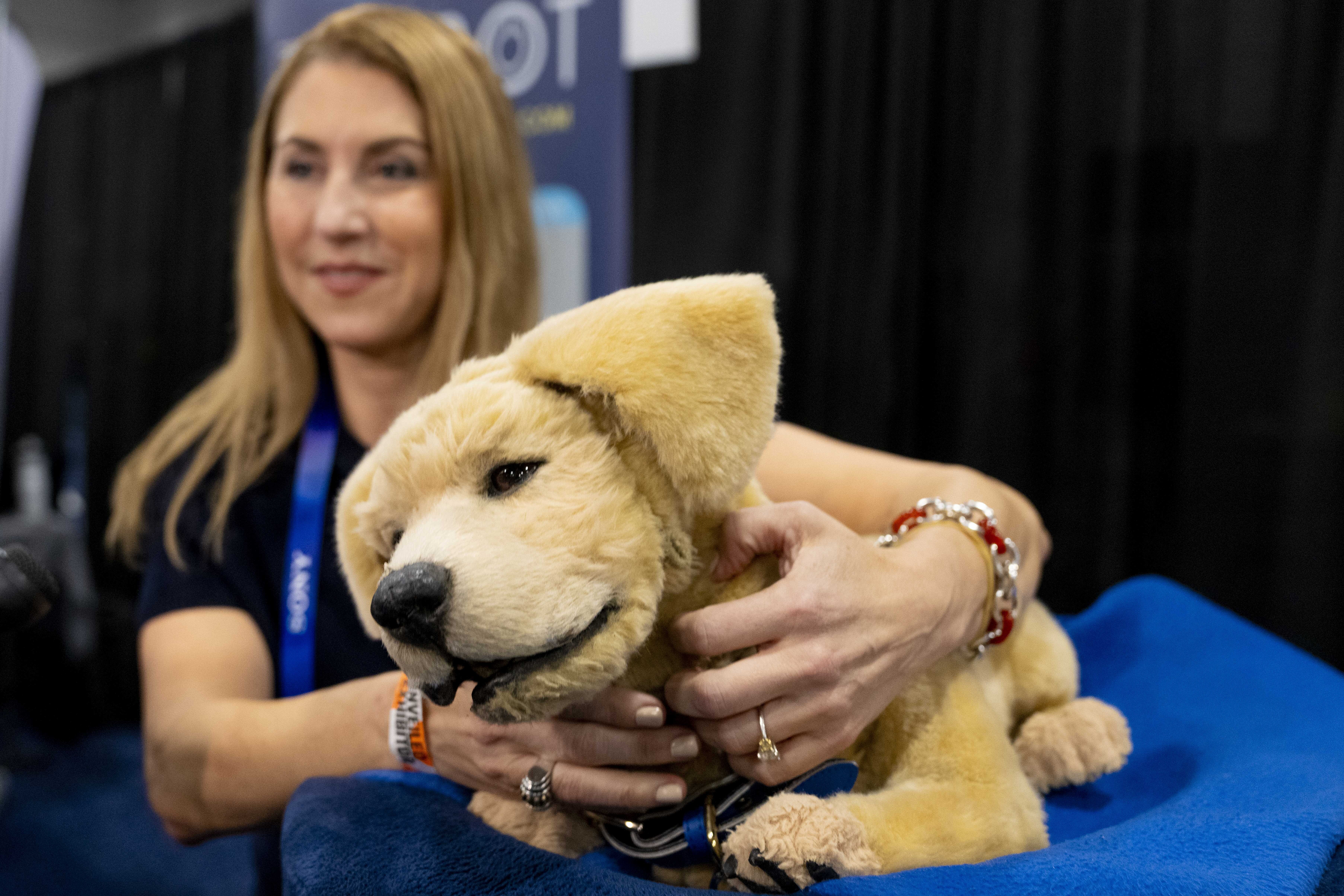 Tombot, a robotic dog for people who can not have a real pet, gets a scratch during 2025 CES Unveiled, Sunday, Jan. 5, 2025, in Las Vegas. (AP Photo/Jack Dempsey)