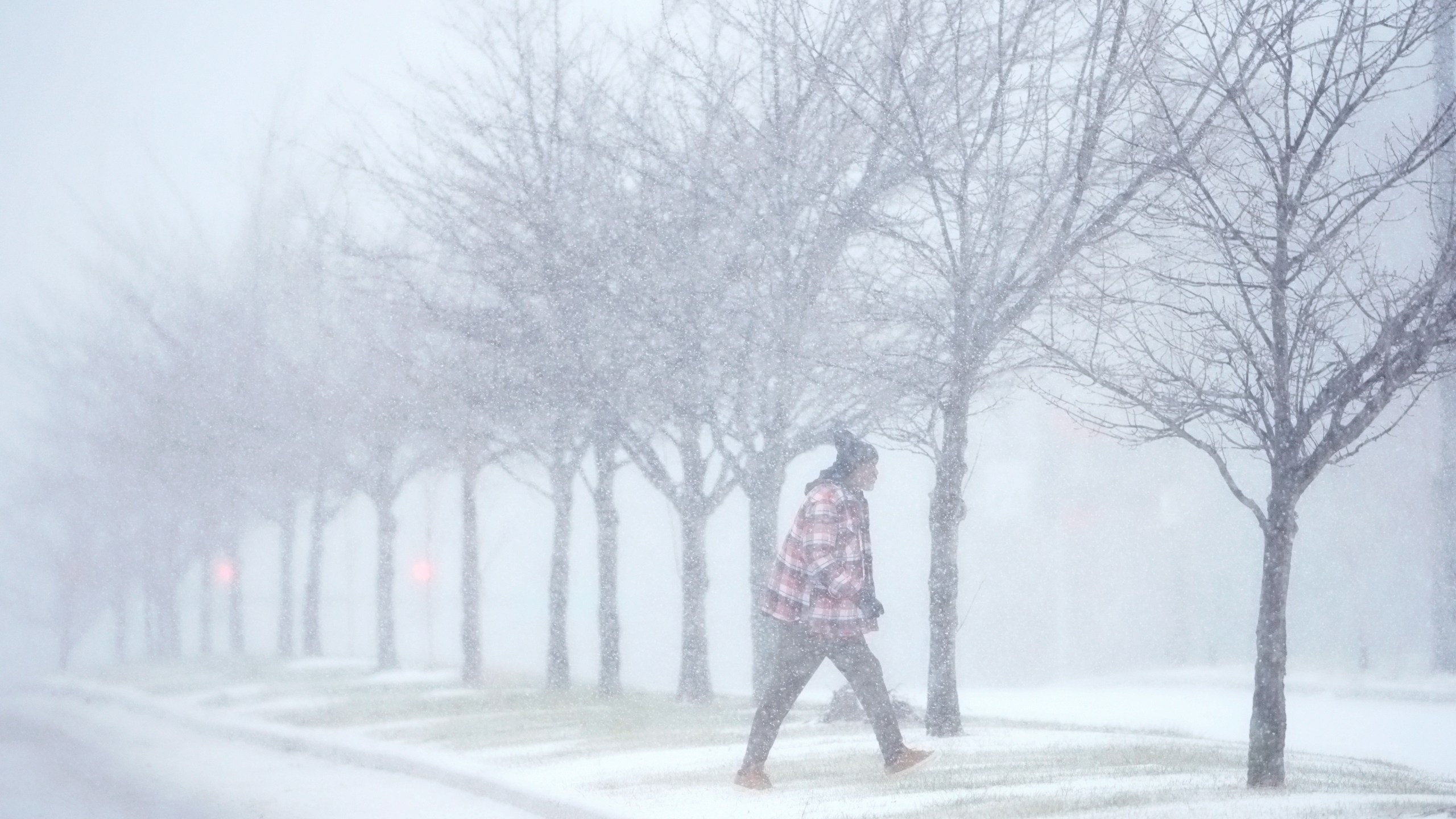 A person crosses a street as heavy snow falls Sunday, Jan. 5, 2025, in St. Louis. (AP Photo/Jeff Roberson)