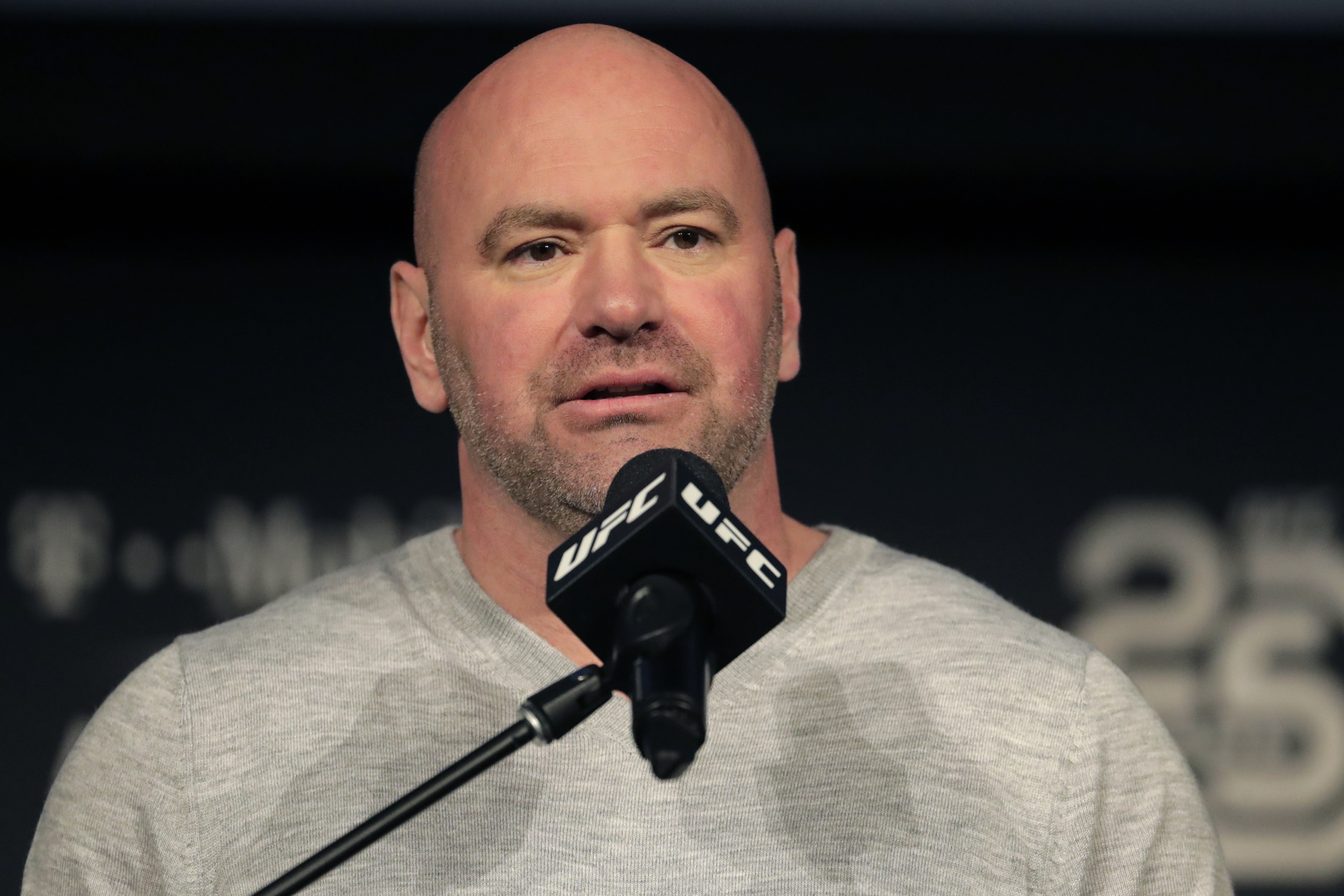 FILE - In this Nov. 2, 2018, file photo, UFC president Dana White speaks at a news conference in New York. (AP Photo/Julio Cortez, File)