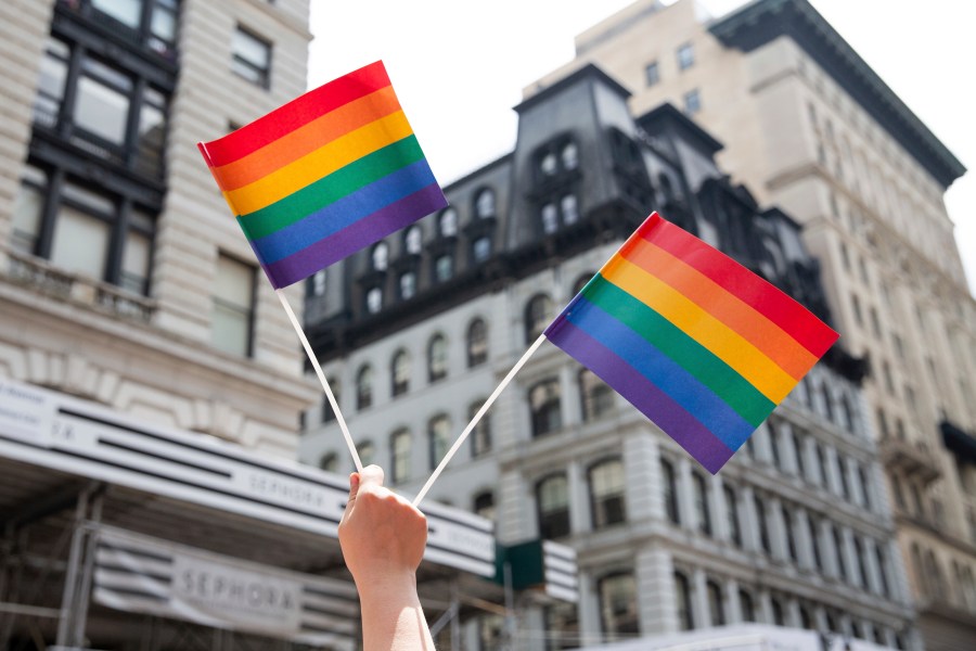 FILE - A person holds up LGTBQ+ pride flags during the Pride Parade in New York, June 24, 2018. (AP Photo/Steve Luciano, File)