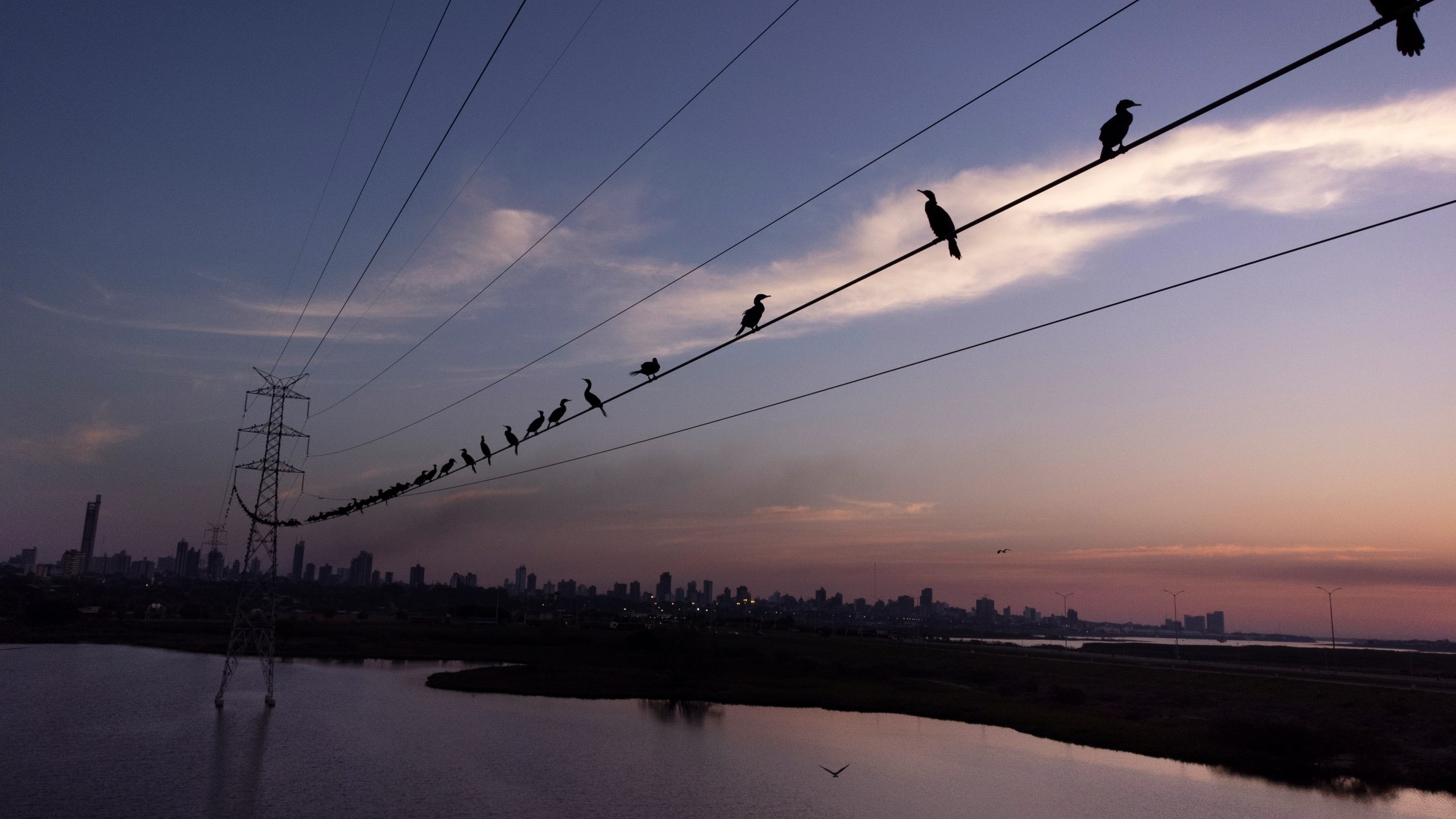 FILE - Neotropic cormorants roost on a high voltage cable at sunset near the Paraguay River, in Asuncion, Paraguay, Saturday, Aug. 14, 2021. (AP Photo/Jorge Saenz, File)