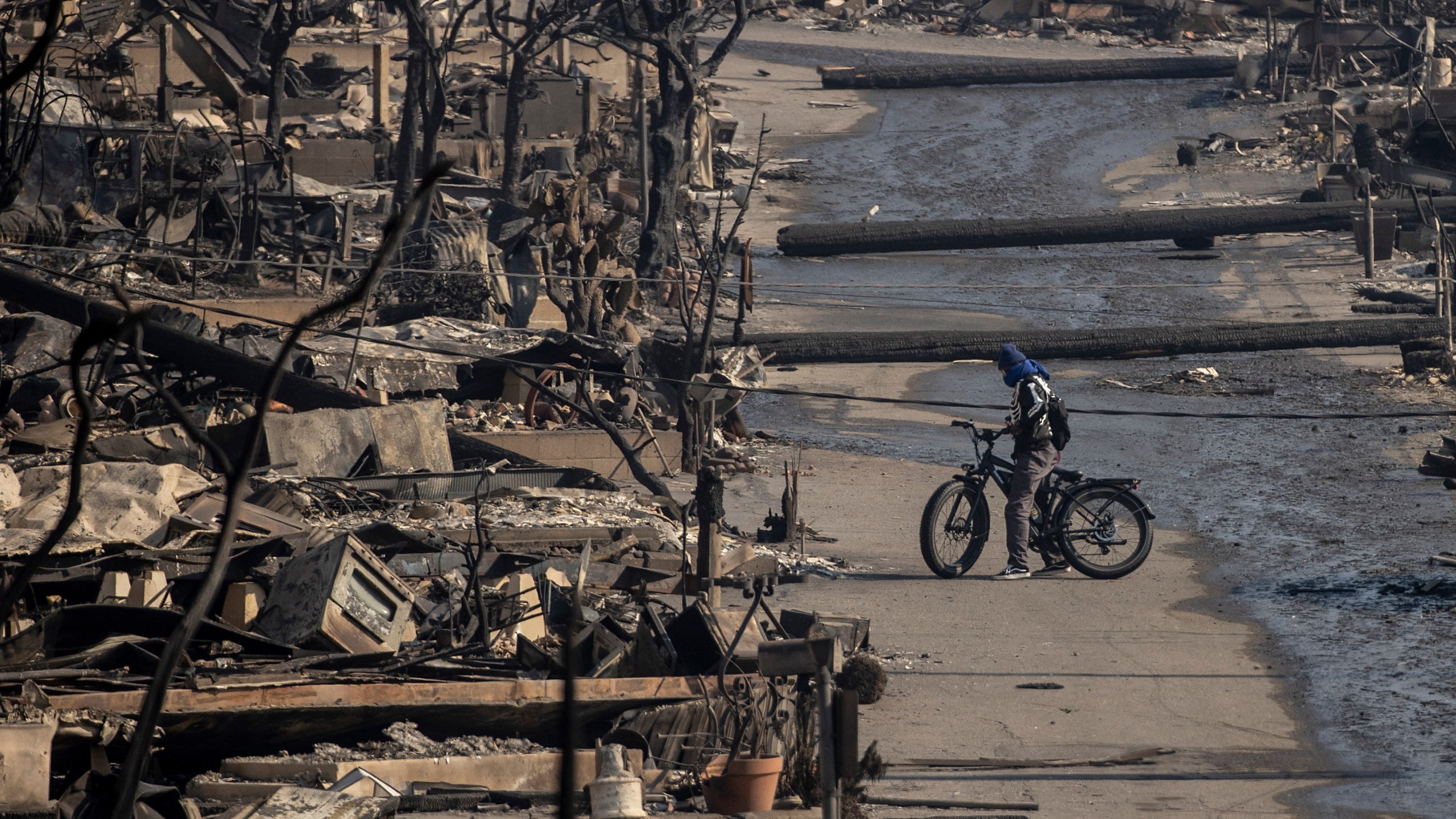 A bicyclist stands amongst Pacific Palisades Bowl Mobile Estates destroyed by the Palisades Fire in Pacific Palisades, Calif., Thursday, Jan. 9, 2025.(Stephen Lam/San Francisco Chronicle via AP)