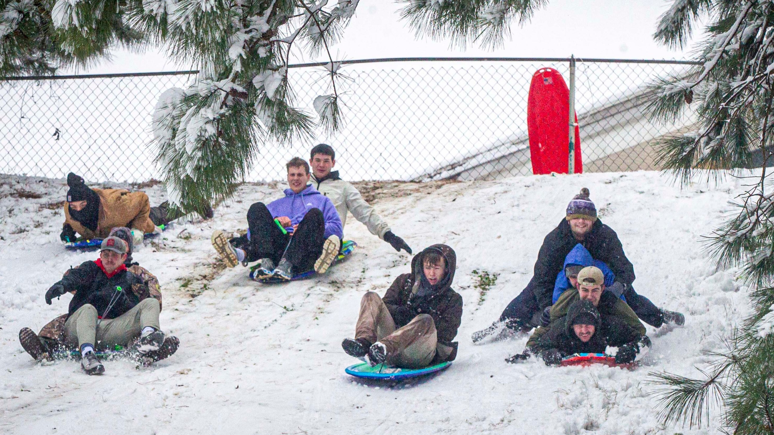 Sledders ride down a hill as snow falls, Friday, Jan. 10, 2025, in Florence, Ala. (Dan Busey/The TimesDaily via AP)