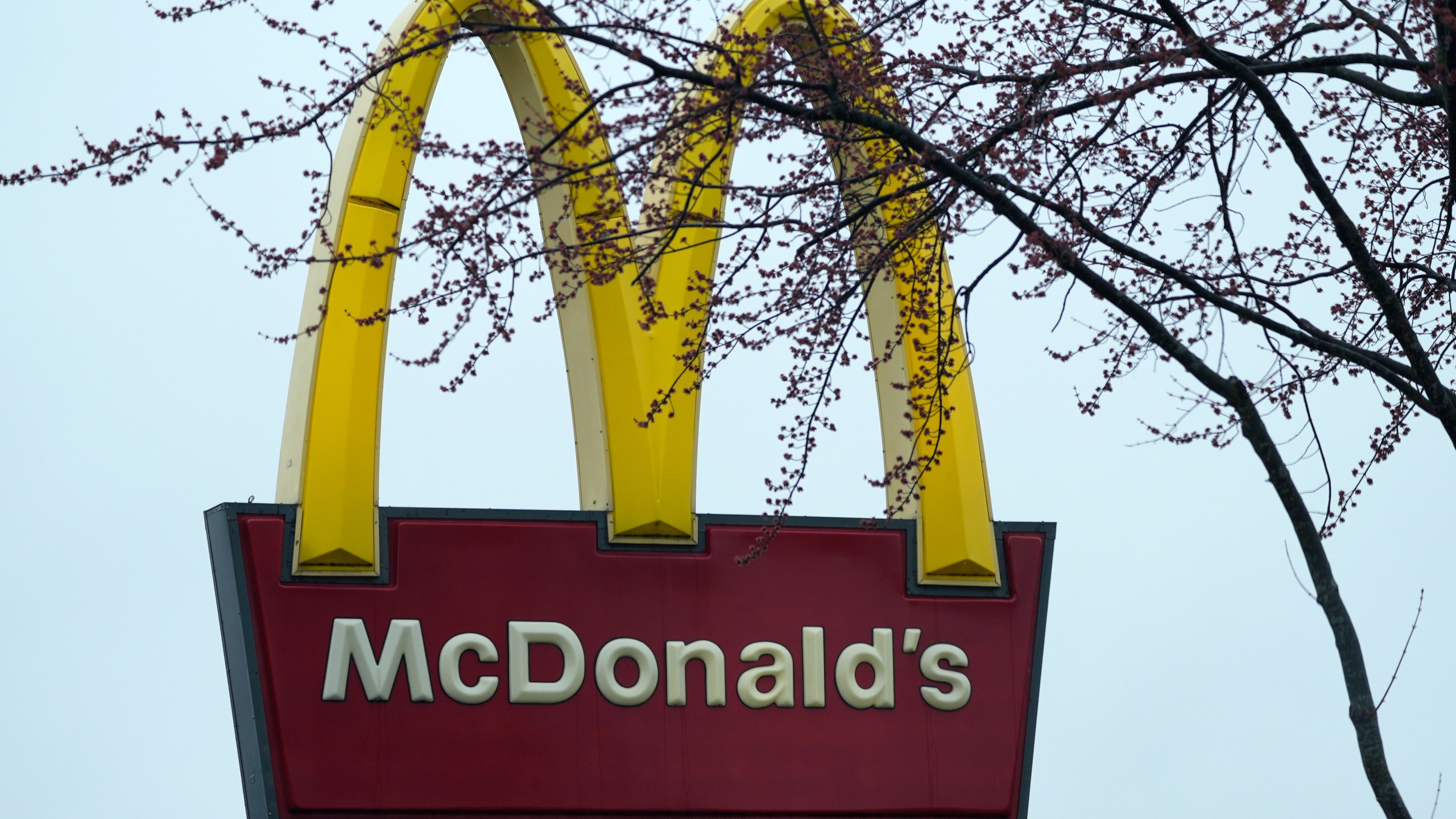 FILE - A McDonald's sign is seen, March 14, 2024, in Wheeling, Ill. (AP Photo/Nam Y. Huh, File)