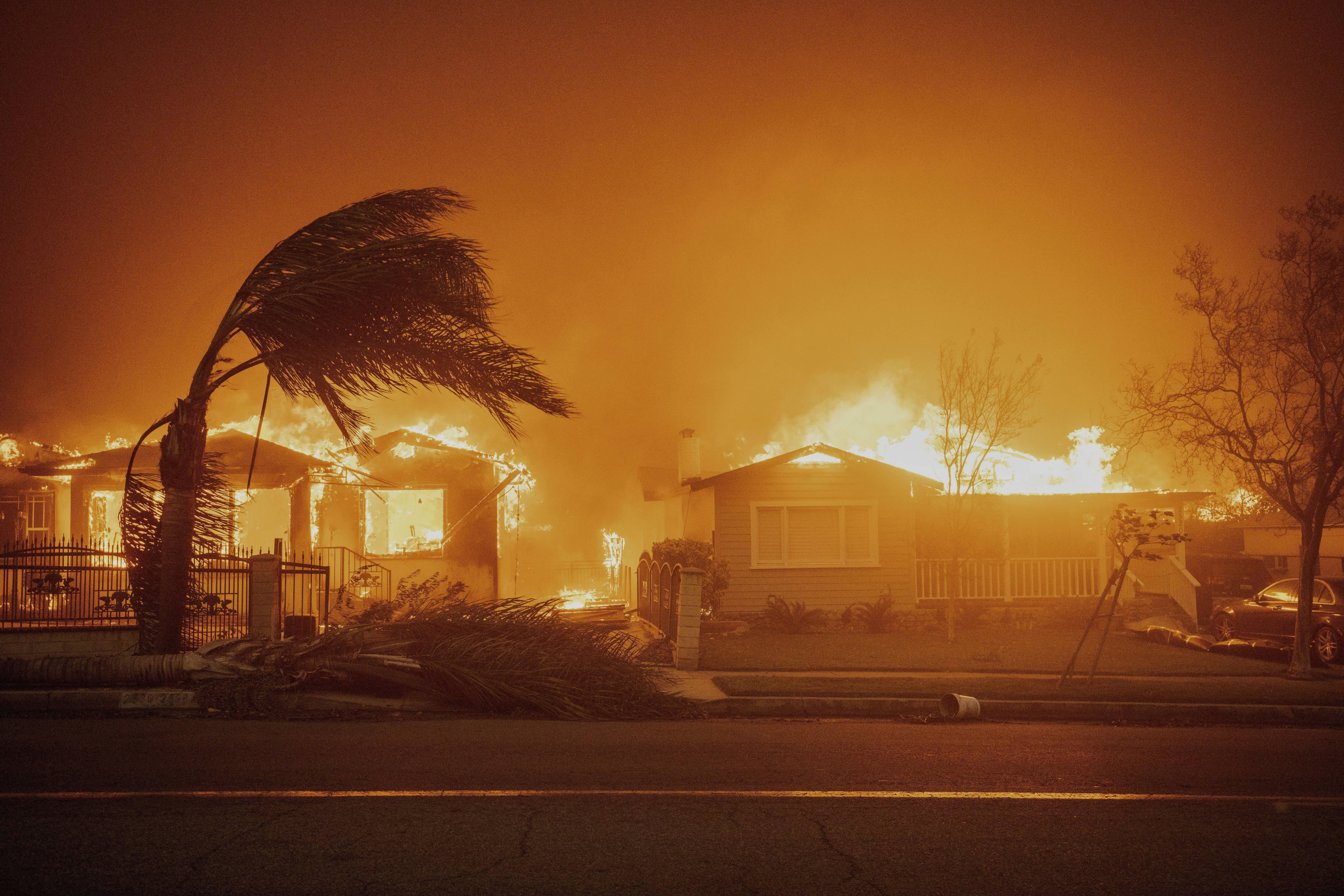 FILE - Trees sway in high winds as the Eaton Fire burns structures Jan. 8, 2025, in Altadena, Calif. (AP Photo/Ethan Swope, File)