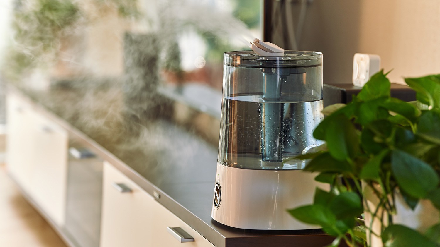 Best humidifiers for hard water 2025